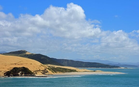 looking south  at the  sand dunes along the west coast of the north island of new zealand on a sunny summer day  while hiking the signal station track, near omapere