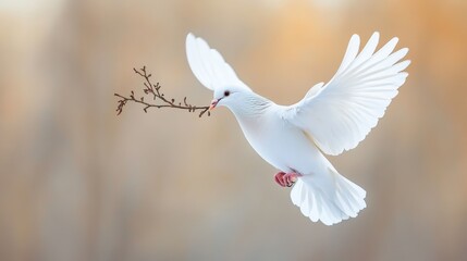abstract a dove with a branch in its mouth flying in the air for background