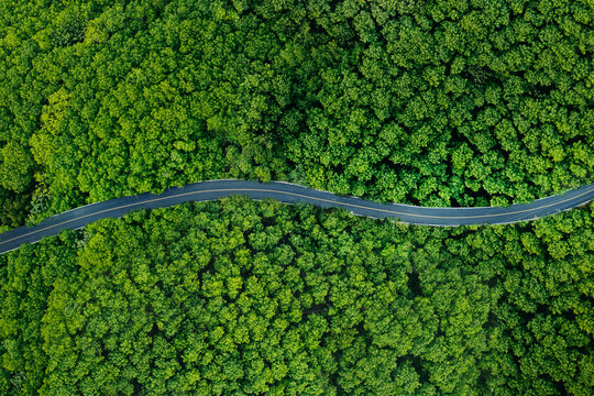 Aerial view of forest road and green trees. Transportation and environment. Forest view angle.