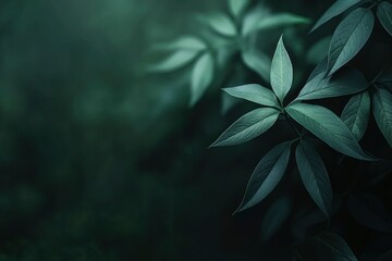 Close-up of Green Leaves with Dark Background for Natural Theme Design