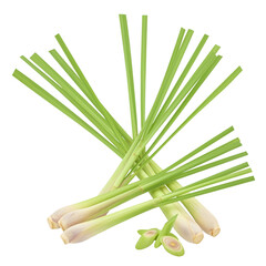 Fresh Lemongrass Stalks: Aromatic Culinary Herb