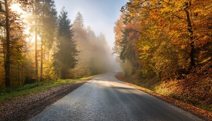 Fototapeta premium rural road among autumn woodland with mild morning fog