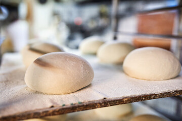 Closeup of raw dough balls resting on floured tray before baking