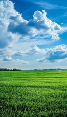 Obraz premium Lush green meadow under a clear blue sky in a realistic scenic landscape photography
