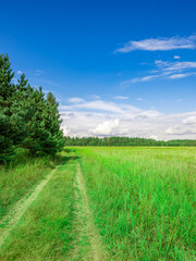 Path in a field with trees in the background