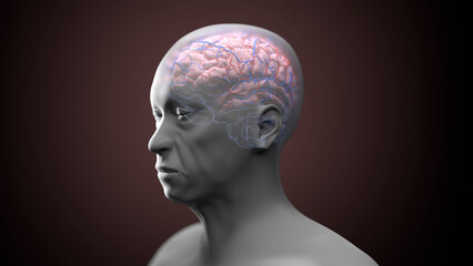 Neurodegeneration, conceptual illustration