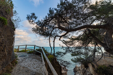 A beautiful view of the ocean with a wooden walkway leading to it