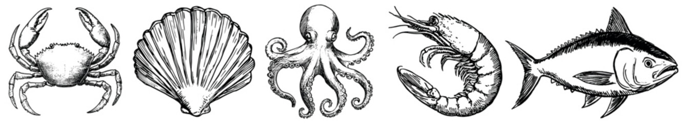 Vintage marine life illustrations collection, isolated vector set