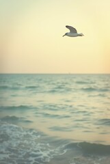 Tranquil ocean horizon with seagull in flight at sunset