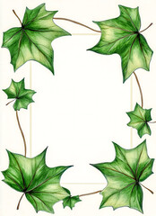 Fototapeta premium Green maple leaves forming a border on white background