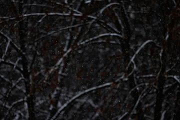snowfall background, abstract backdrop against blurred winter trees