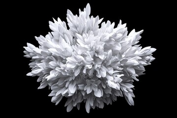 Abstract white floral burst against a black backdrop for use in design projects