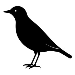 starling bird black silhouette vector, Simple silhouette Design vector icon with white background. Wild bird