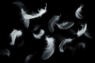 Obraz premium Ethereal Elegance: Soft White Feathers Floating Gracefully in a Captivating Group Display