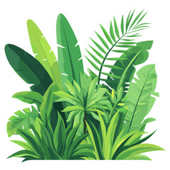 Obraz premium Jungle vegetation jungle nature leaves vector