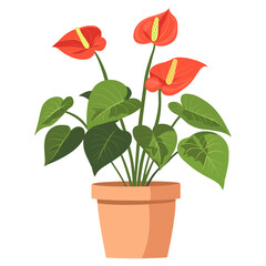 Anthurium flower plant illustration vector
