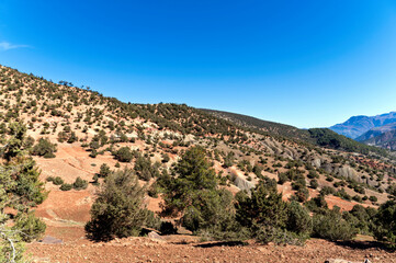 Majestic mountains rise in the background while the lush valleys showcase natural beauty.