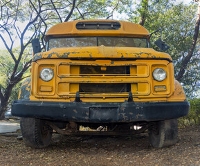 A front of an old school bus parked under a trees