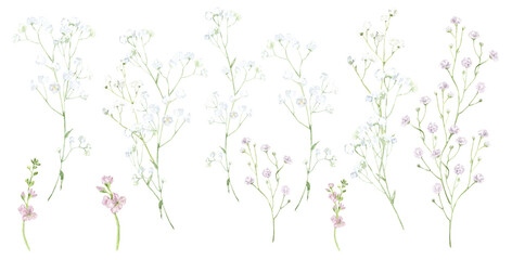 Set of watercolor gypsophila with green leaves. For invitations, backgrounds, wedding sets, fashion, scrapbooking, digital paper