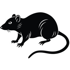 a rat vector