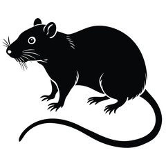 a rat vector