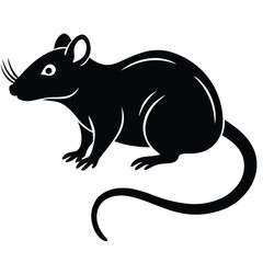 a rat vector