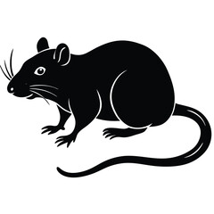 a rat vector