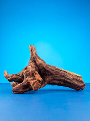 Close-up of elegant wooden driftwood suitable for aquarium or terrarium use on  purple backdrop