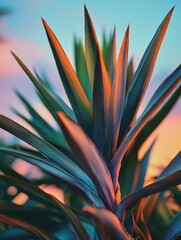 Luminous foliage at sunset with vibrant hues and a warm glow, ideal for nature photography, travel content, or beach themed designs.