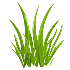Obraz premium Grass illustration plant green vector
