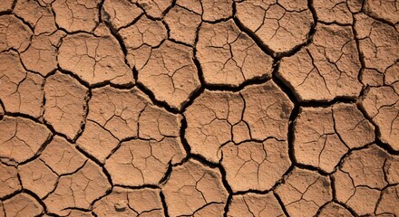 The dried cracked earth reveals a pattern of drought and dryness