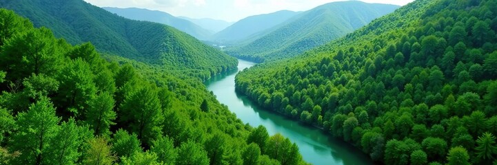 Fototapeta premium Beautiful aerial view of lush green forests and meandering rivers in Bolu, Turkey, landscape, nature