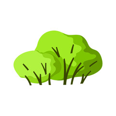 Stylized bush with leaves. Natural summer or spring image.