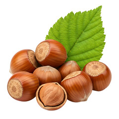 Hazelnuts paired with green leaves, displayed on a white background