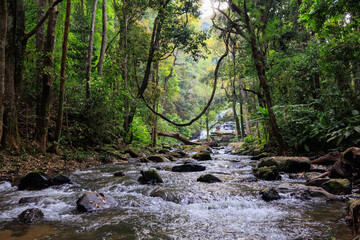 Wild jungle landscape and river in the Doi Inthanon national park, northern Thailand