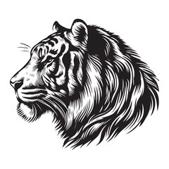 Detailed Tiger Head Vector Illustration Artwork Graphic