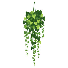 Long hanging ivy illustration leaves plant vector