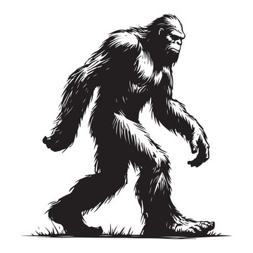 Detailed bigfoot walking forward full body vector silhouette design