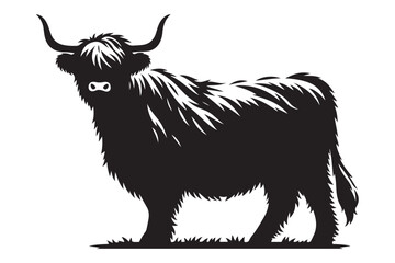 Majestic Highland Cattle Illustration Black Silhouette Vector Art for Print
