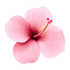 Pink hibiscus flower icon illustration design pink vector