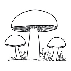 Mushroom drawing art sketch vector
