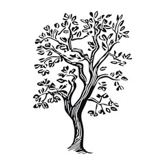 Spring tree drawing art white vector