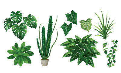 Set of vector illustrators of leaves of tropical various plants