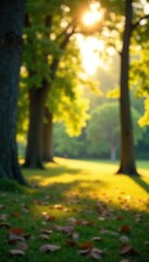 Fototapeta premium Blurred outdoor park with trees and bokeh light, tranquility, sunlight