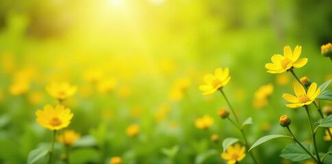 Fototapeta premium Blurred yellow summer background with blooming flowers and lush greenery, vibrant, greenery