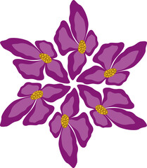 Abstract clematis flowers isolated design element. Pink, fuchsia flower element on transparent background. Floral mandala flat illustration. Fantasy round ornament for decor clothes, home, etc.