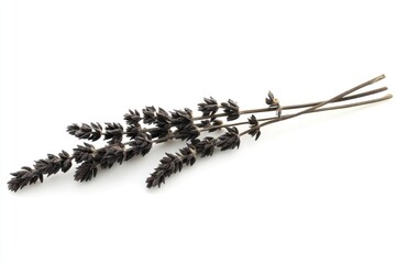 Black Cohosh Root Herb. Natural Alternative Remedy for Health Care and Healing