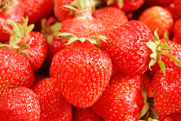 Red ripe berries of farm eco strawberries.