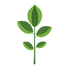 Front view of a simple green elongated clover leaf illustration plant eco-friendly vector