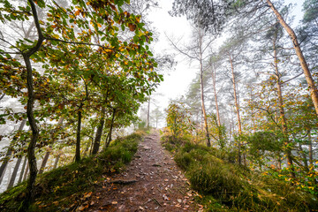 Hiking trail through the forest at Hahnfels near Erfweiler in the Palatinate region with the surrounding natural landscape at the red sandstone cliffs.
